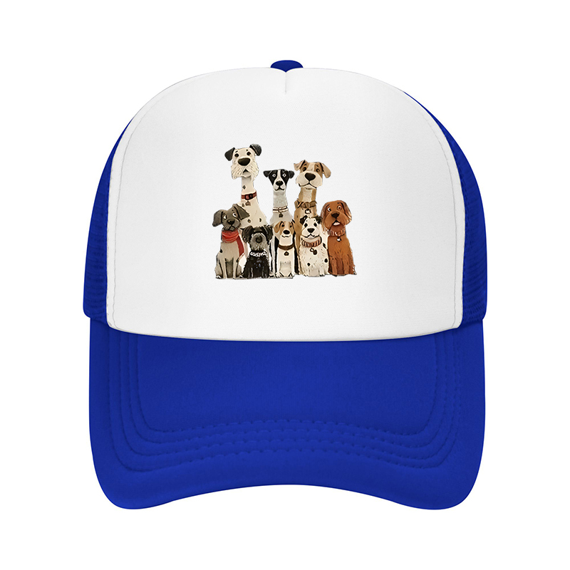 New Summer Streetwear Brand Do - огляд і ціна Cap Streetwear Brand